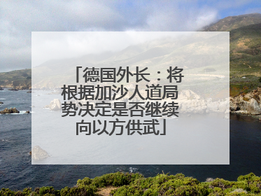 德国外长：将根据加沙人道局势决定是否继续向以方供武